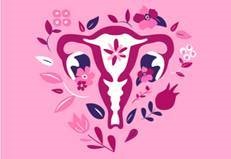 animated picture of a uterus